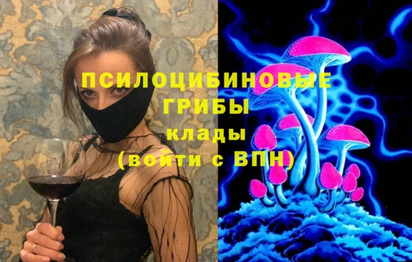 амф Абинск