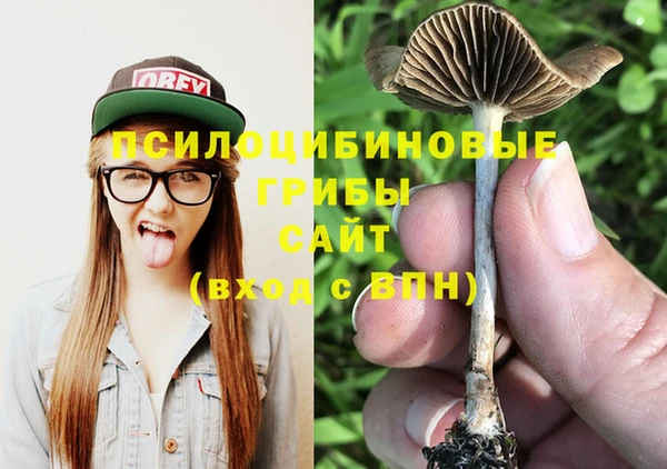каннабис Абаза