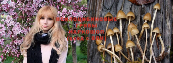 амф Абинск