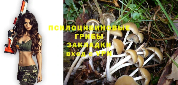 амф Абинск
