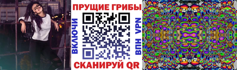 Псилоцибиновые грибы мухоморы  гидра tor  Тотьма  что такое наркотик 